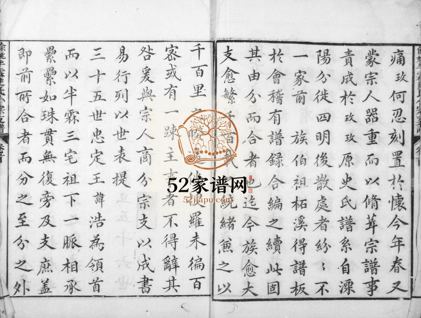 1868年修姚江半霖史氏小宗支谱[9卷首1卷]浙江余姚嘉会堂史姓电子版族谱下载