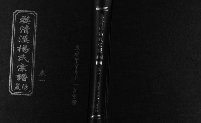 2004年重修婺清溪杨氏宗谱[4卷]浙江东阳 义乌杨姓电子版族谱下载