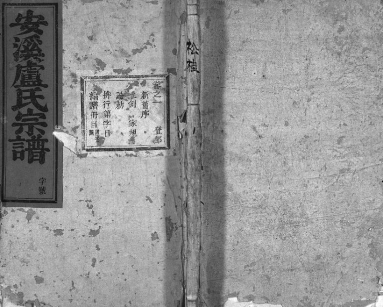 1941年重修安溪卢氏宗谱[20卷]浙江东阳卢姓电子版族谱下载