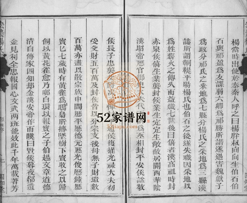 1881年修宏农杨氏宗谱[2卷]江西南丰 新城 广昌 福建宁化 泉州四知堂杨姓电子版族谱下载