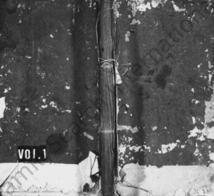 1878年重修宏农郡杨氏宗谱[存2卷]浙江金华 缙云杨姓电子版族谱下载