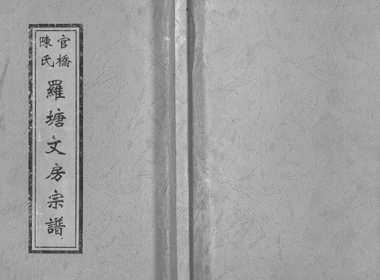 2004年重修官桥陈氏罗塘文房宗谱 浙江金华 东阳陈姓电子版族谱下载
