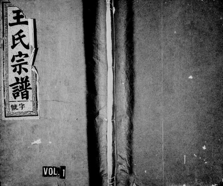 1920年续修定阳王氏宗谱 浙江常山三槐堂王姓电子版族谱下载