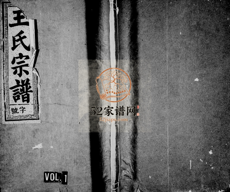 1920年续修定阳王氏宗谱 浙江常山三槐堂王姓电子版族谱下载