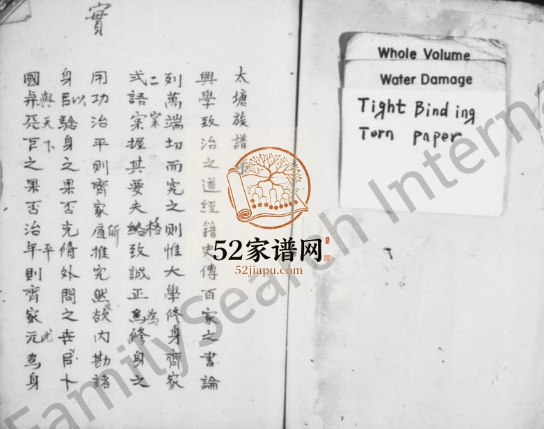 1920年重修宜春大塘三甲李氏东族谱[残卷]江西 吉水 浙江金华李姓电子版家谱下载