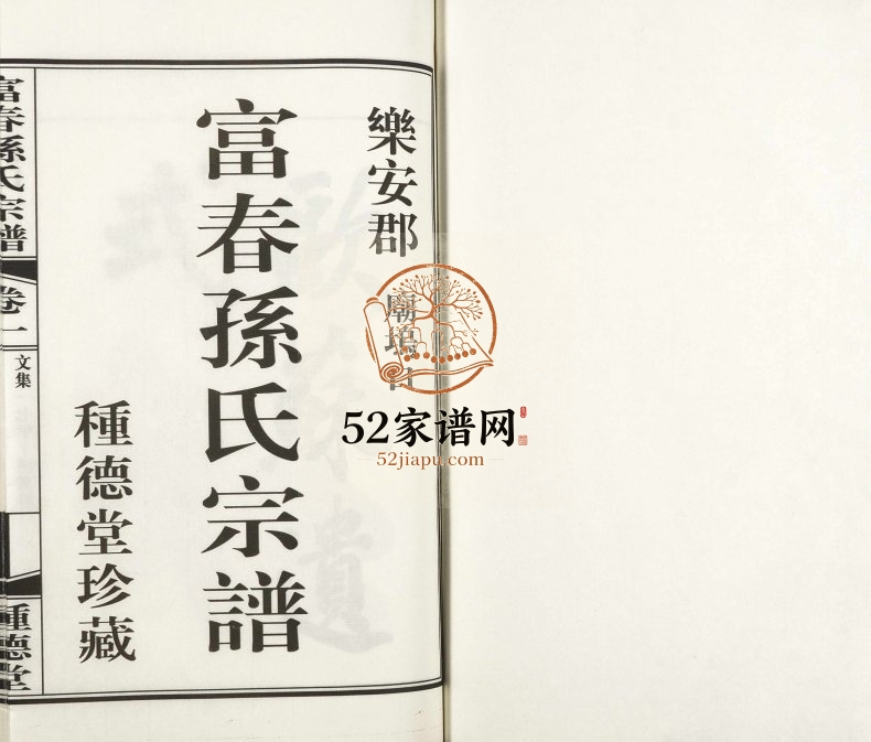 2017年修乐安郡庙坞口富春孙氏宗谱 浙江富阳种德堂孙姓电子版族谱下载