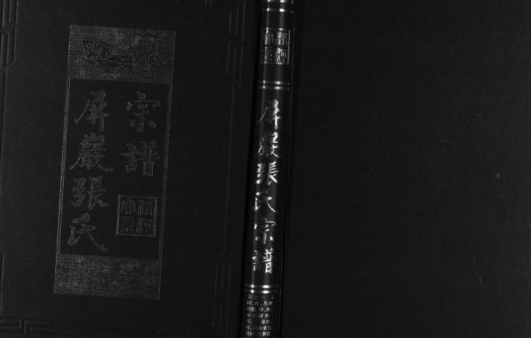 2003年重修屏岩张氏宗谱[6卷]浙江东阳张姓电子版族谱下载
