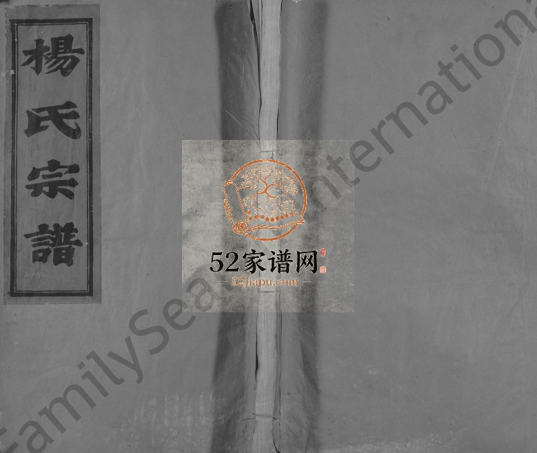 1932年修宁海亭旁杨氏宗谱[4卷]浙江四知堂杨姓电子版族谱下载
