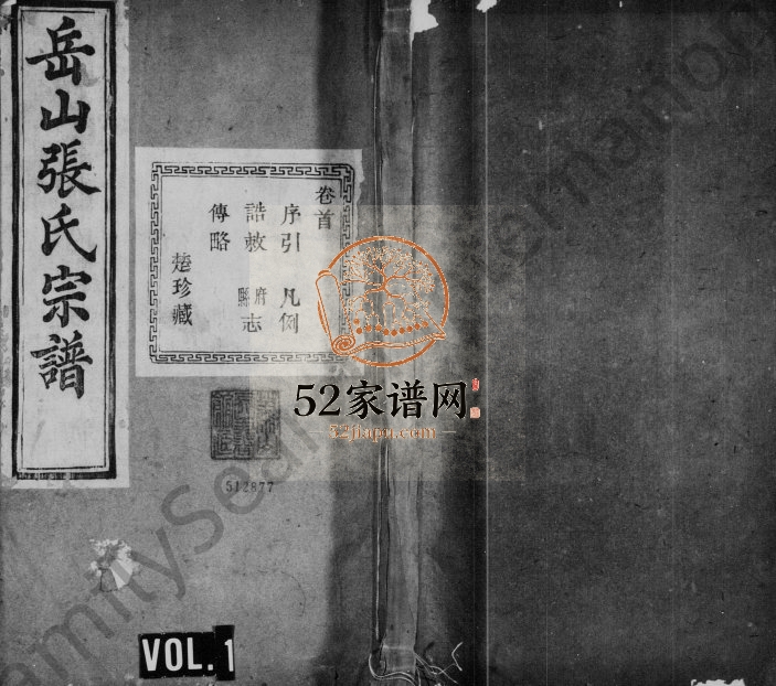 1926年重修岳山张氏宗谱[16卷首1卷]浙江绍兴 萧山张姓电子版族谱下载