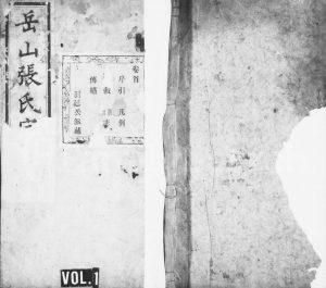 1892年修岳山张氏宗谱 浙江绍兴 萧山张姓电子版族谱下载