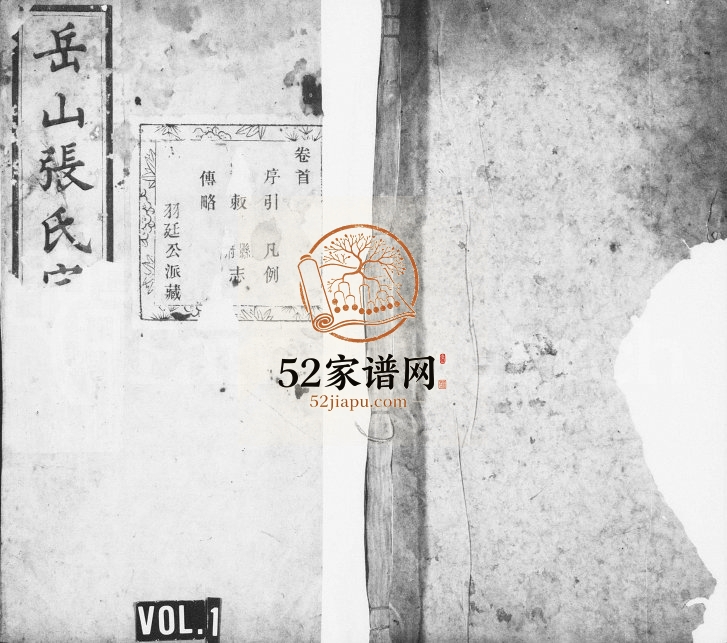 1892年修岳山张氏宗谱 浙江绍兴 萧山张姓电子版族谱下载