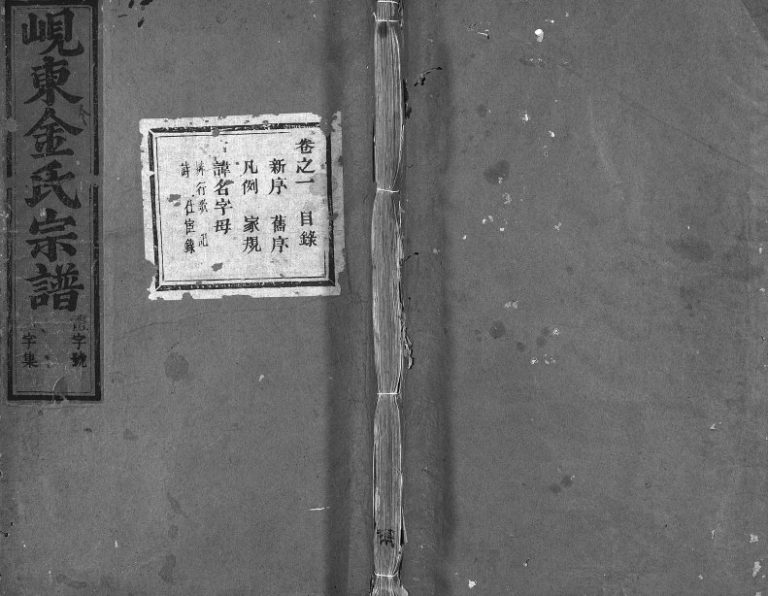 1929年修岘东金氏宗谱[8卷]浙江东阳金姓电子版族谱下载
