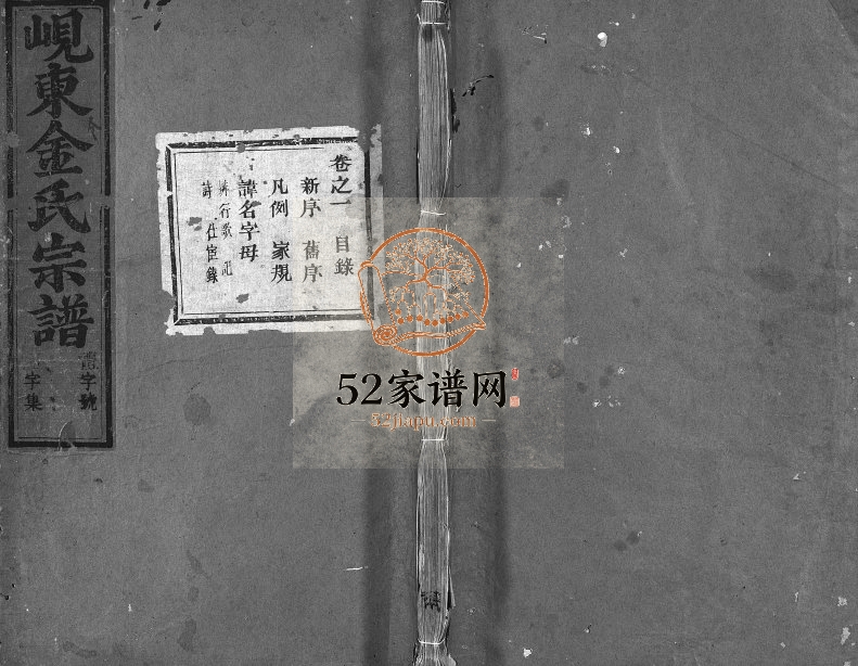 1929年修岘东金氏宗谱[8卷]浙江东阳金姓电子版族谱下载