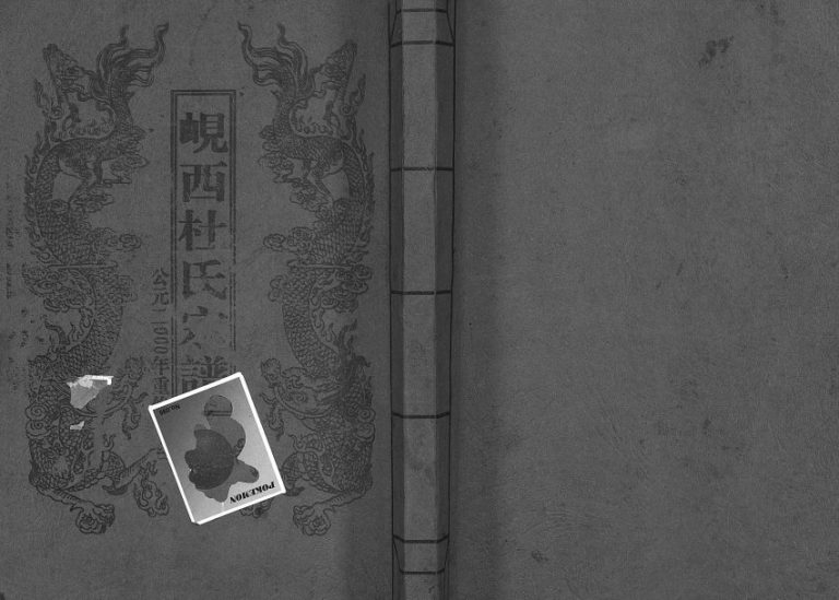 2000年重修岘西杜氏宗谱[不分卷]浙江东阳杜姓电子版族谱下载