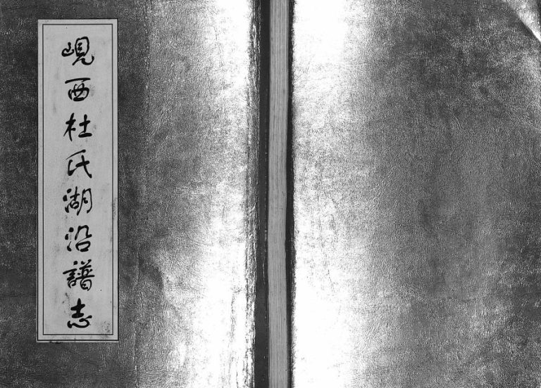 1999年续修岘西杜氏湖沿谱志 浙江东阳杜姓电子版族谱下载