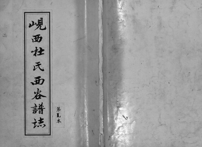 1997年重修岘西杜氏西谷谱志[不分卷]浙江东阳杜姓电子版族谱下载
