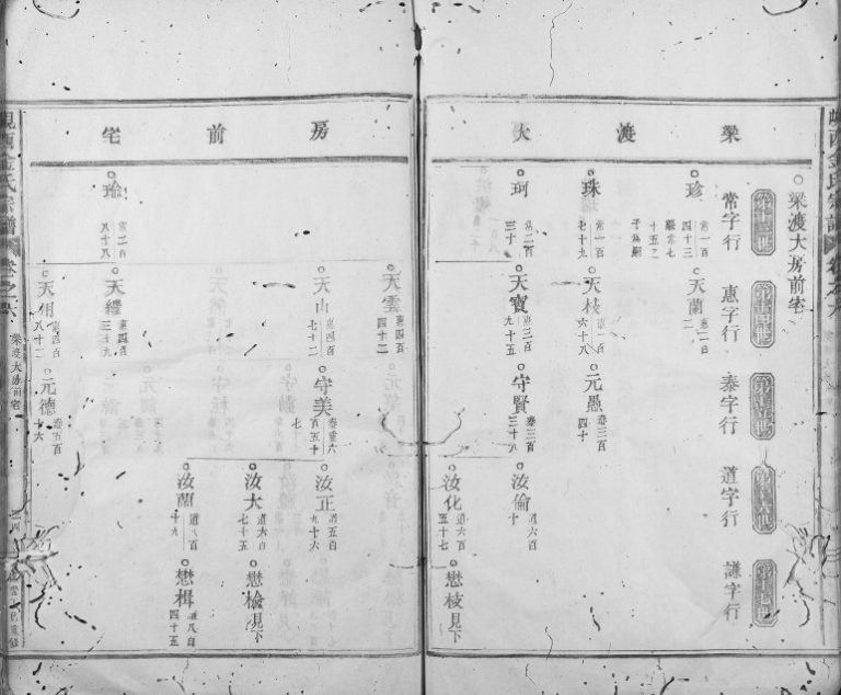 1857年修岘西金氏宗谱 浙江东阳金姓电子版族谱下载