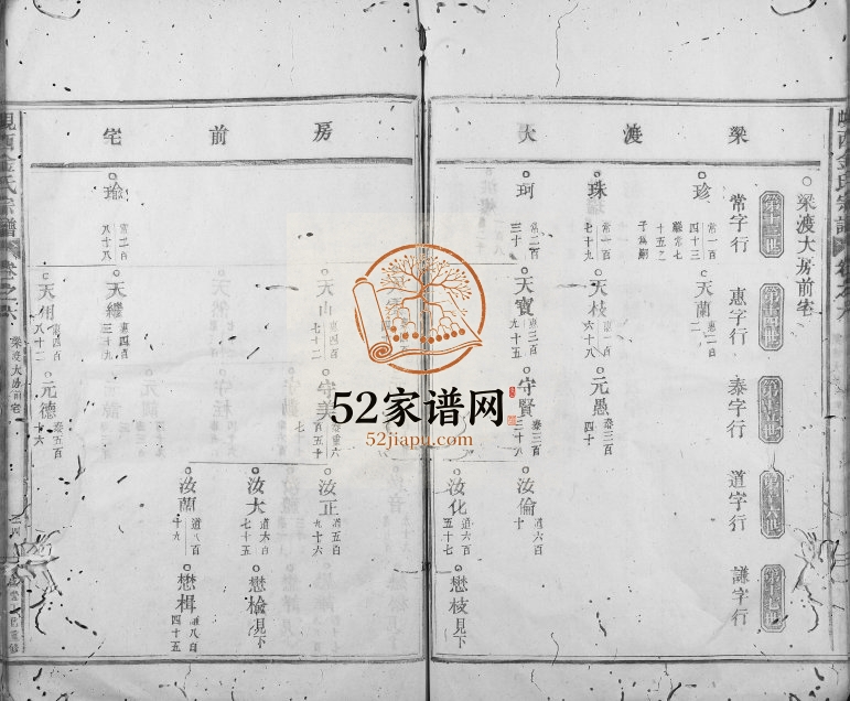 1857年修岘西金氏宗谱 浙江东阳金姓电子版族谱下载