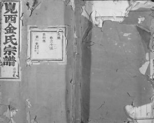 1868年修岘西金氏宗谱 浙江东阳金姓电子版族谱下载