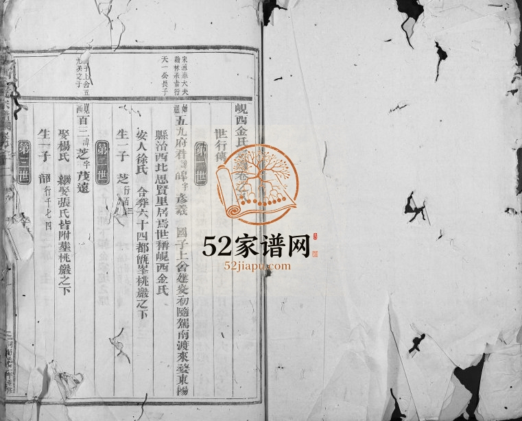 1868年修岘西金氏宗谱 浙江东阳金姓电子版族谱下载