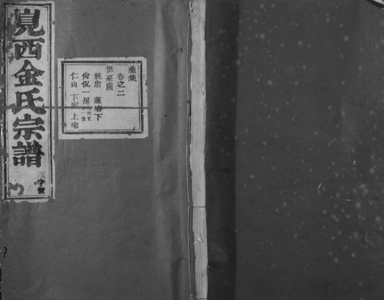 1933年修岘西金氏家谱[46卷]浙江东阳金姓电子版族谱下载