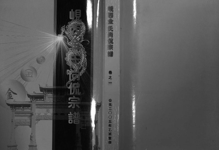 2005年重修岘西金氏尚侃宗谱[5卷]浙江东阳金姓电子版族谱下载