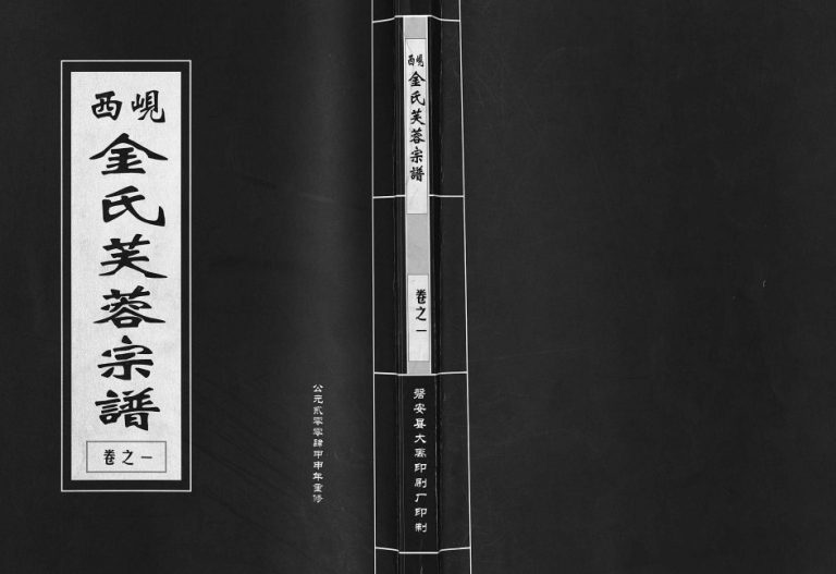 2004年重修岘西金氏芙蓉宗谱[2卷]浙江东阳金姓电子版族谱下载