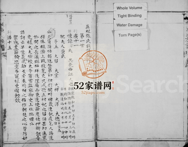 1856年修屿根张氏族谱 浙江永嘉张姓电子版家谱下载