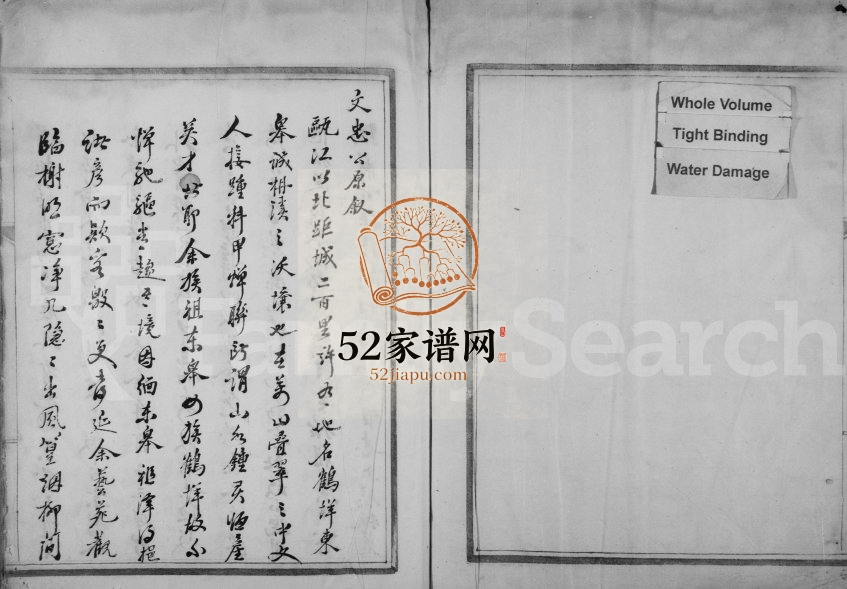 1921年修屿根张氏族谱 浙江永嘉张姓电子版家谱下载