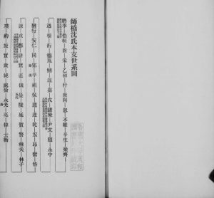 1918年修师桥沈氏家谱 浙江嘉兴沈姓电子版族谱下载