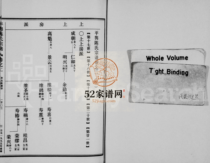 1995年重修平舆陈氏宗谱[残卷]浙江缙云陈姓电子版族谱下载