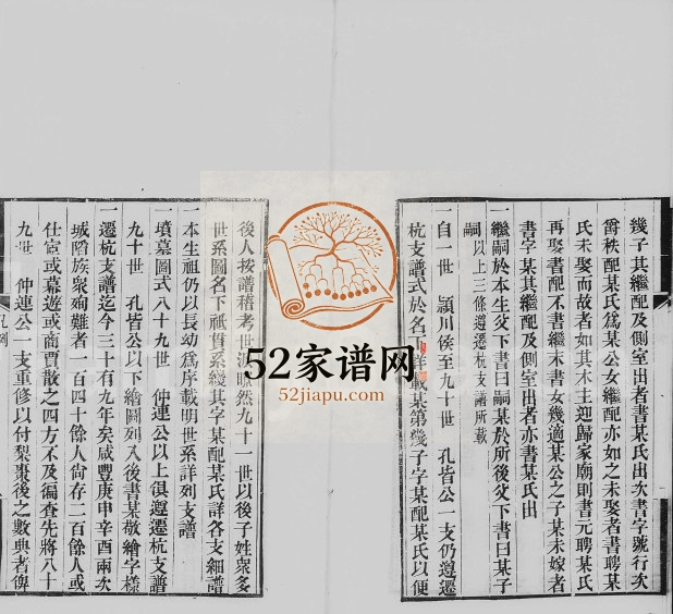 1867年修平阳汪氏九十一世支谱[2卷]浙江杭县汪姓电子版族谱下载