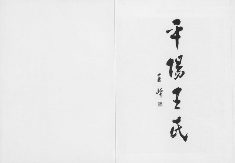 2008年修平阳王氏 浙江王姓电子版族谱下载