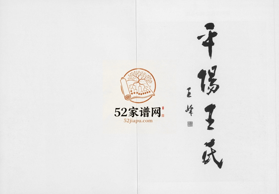 2008年修平阳王氏 浙江王姓电子版族谱下载