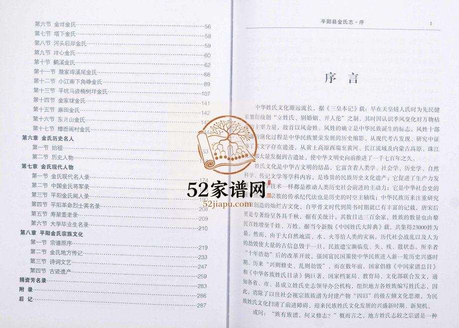 2012年修平阳金氏志 浙江金姓电子版族谱下载
