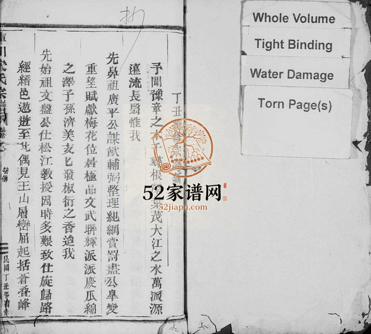 1937年修库川宋氏宗谱[残卷]浙江缙云宋姓电子版族谱下载