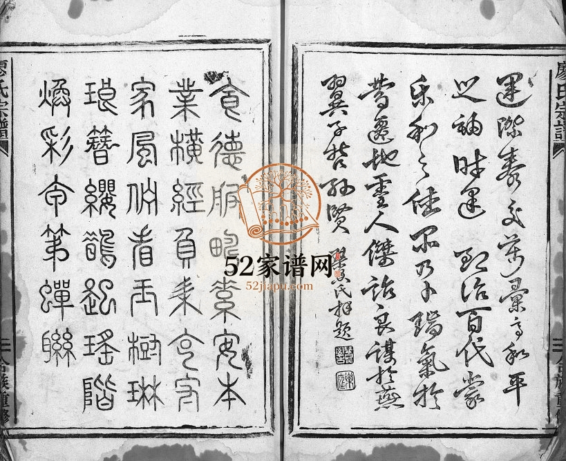 1917年重修廖氏宗谱[不分卷]浙江平阳廖姓电子版族谱下载