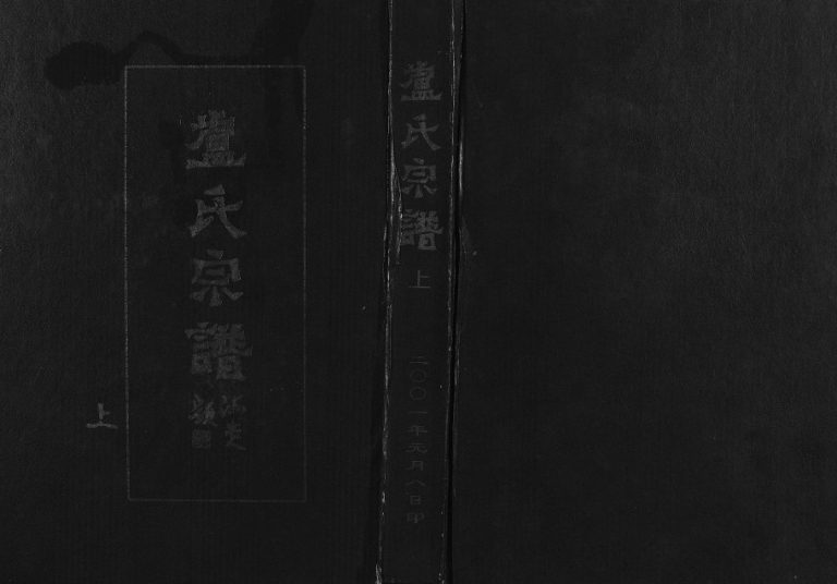 2001年修卢氏宗谱[3卷]浙江东阳范阳堂卢姓电子版族谱下载