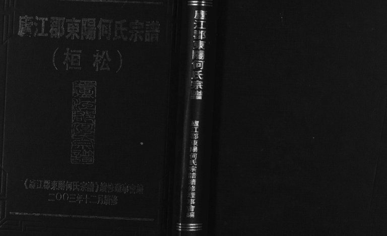 2003年续修庐江郡东阳何氏宗谱 (桓松) 浙江何姓电子版族谱下载