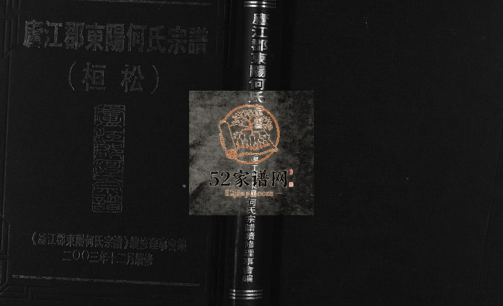 2003年续修庐江郡东阳何氏宗谱 (桓松) 浙江何姓电子版族谱下载
