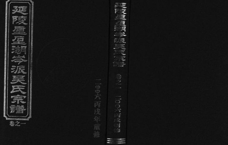 2006年创修延陵垕囗湖岑派吴氏宗谱[6卷]浙江东阳源一堂吴姓电子版族谱下载