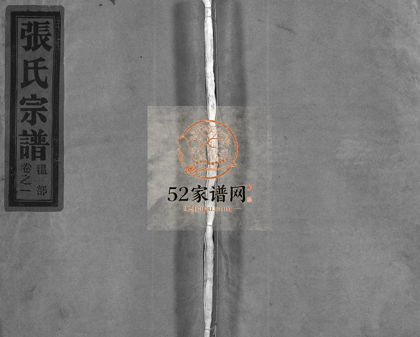 1995年重修五云张氏宗谱[6卷]浙江缙云张姓电子版族谱下载