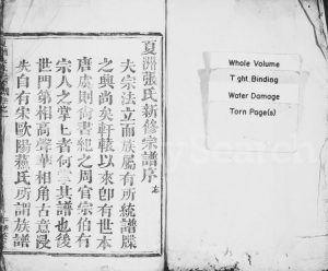 1807年修夏洲张氏宗谱[8卷]浙江新昌萃英堂张姓电子版族谱下载