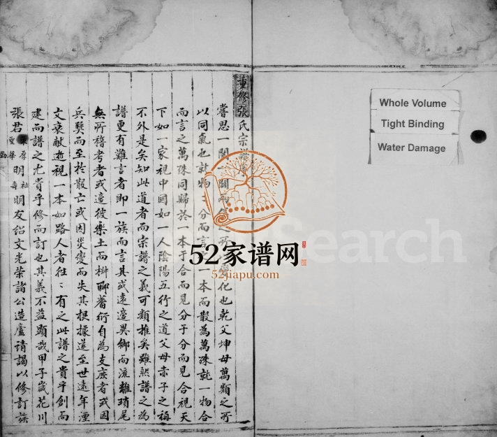 1804年修张氏支图宗谱 浙江永嘉张姓电子版族谱下载