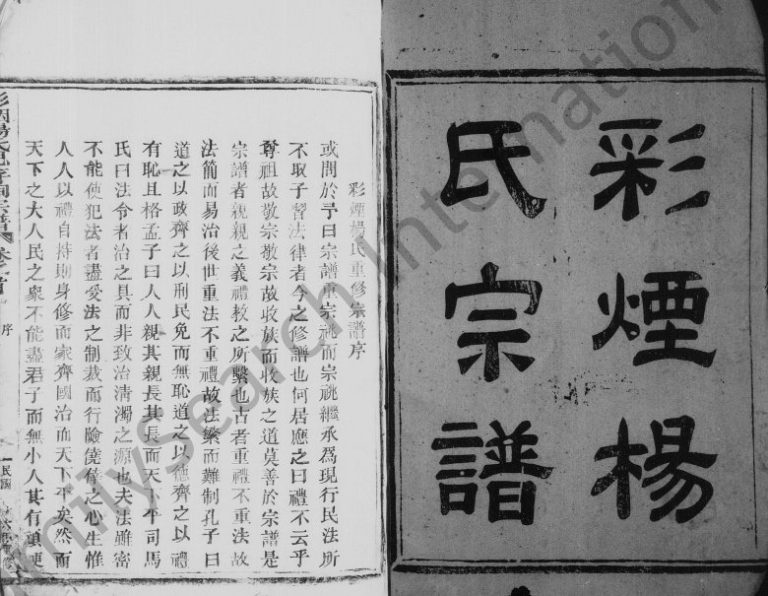 1947年重修彩烟杨氏宗谱[14卷]浙江新昌杨姓电子版族谱下载