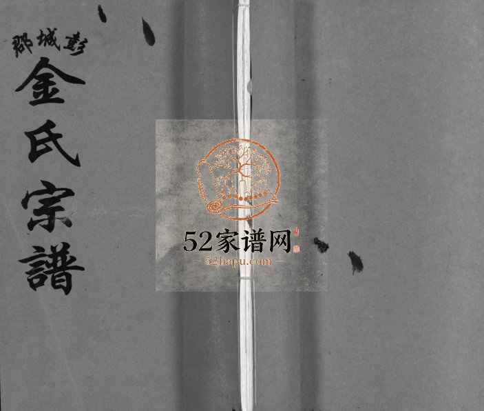 2007年修彭城郡金氏宗谱[5卷]浙江温岭 玉环金姓电子版族谱下载