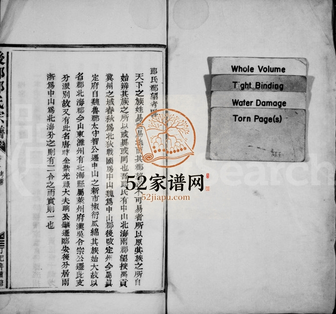 1917年重修后郎郎氏宗谱[残卷]浙江临安郎姓电子版族谱下载