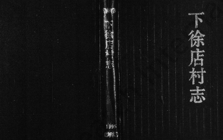 1995年修[徐氏]下徐店村志 浙江永康徐姓电子版族谱下载