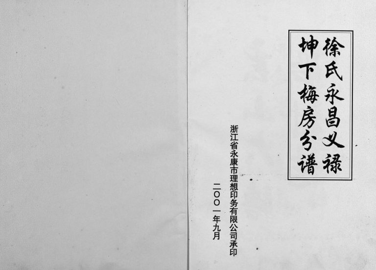2001年修[徐氏]大塘沿村志[1卷]浙江永康徐姓电子版族谱下载