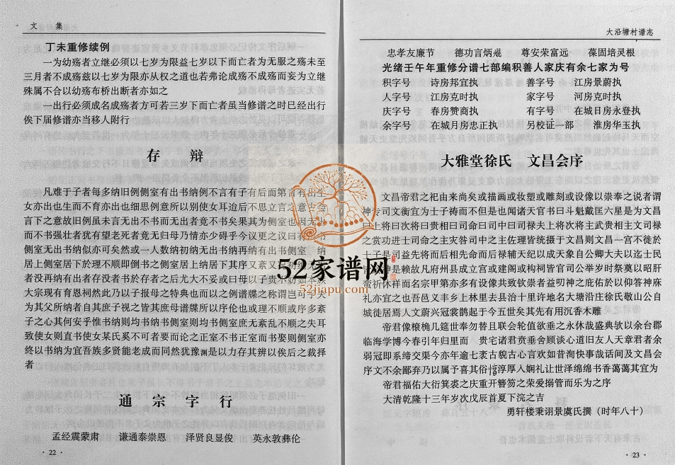 2001年修[徐氏]大塘沿村志[1卷]浙江永康徐姓电子版族谱下载